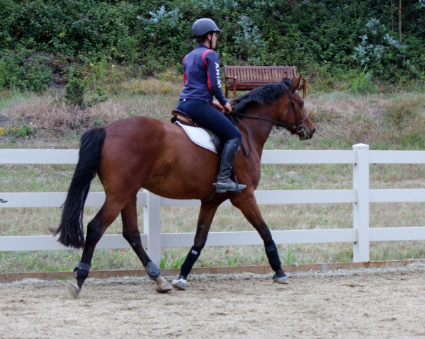 glenda 6 16 3